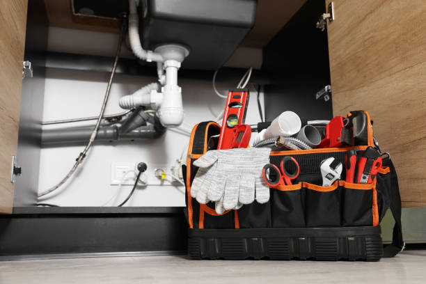 Best Clogged Drain Plumber  in Holloman Af, NM